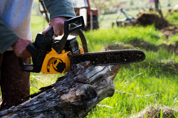 Best Hazardous Tree Removal  in Sa Loma, CA